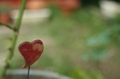 BrokenHeart