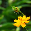 NoTitle