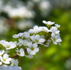 NoTitle