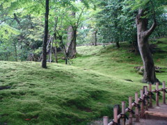 静かな庭