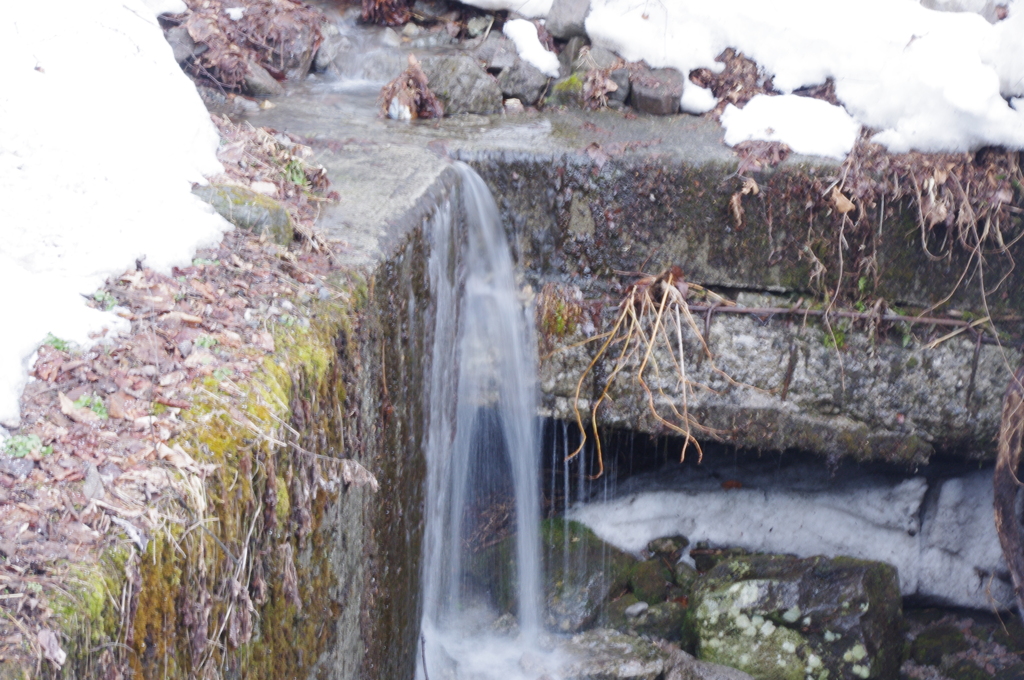雪溶けて
