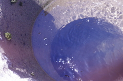 水