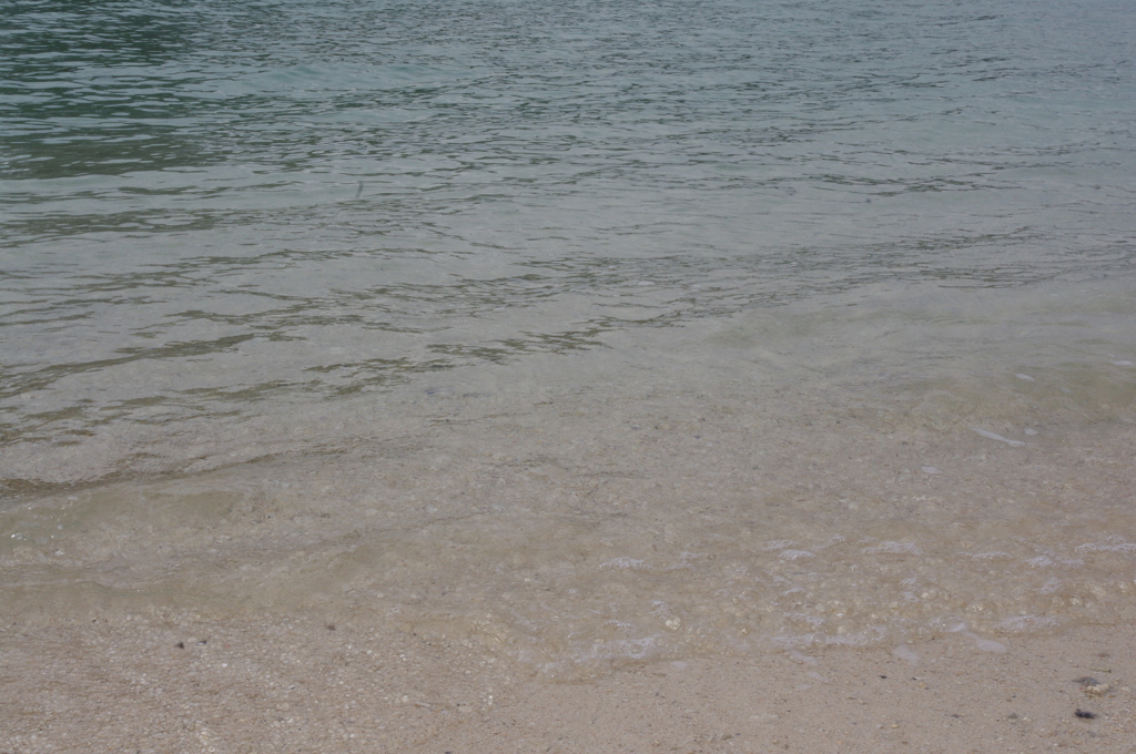 海