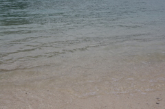 海