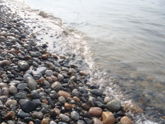 石の海岸