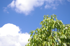 空