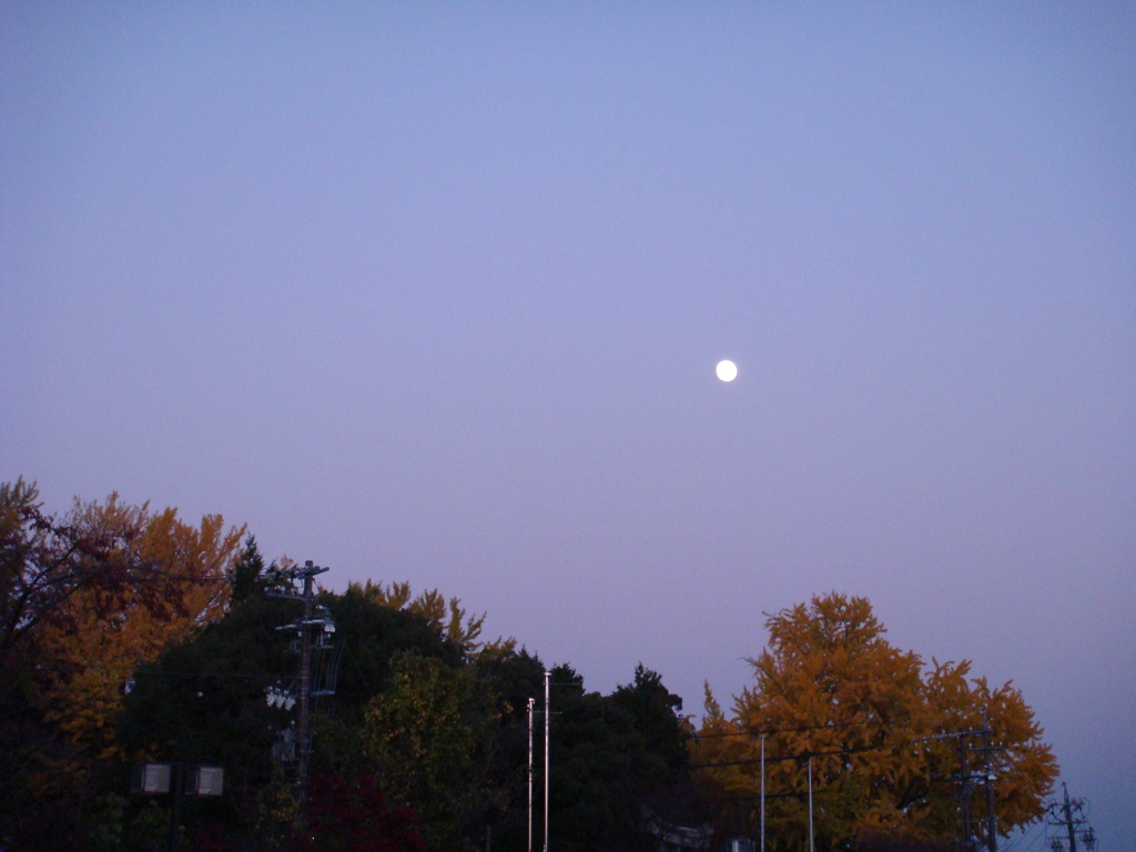 秋の月