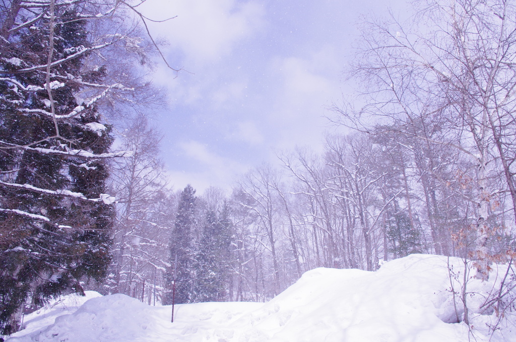 雪煙