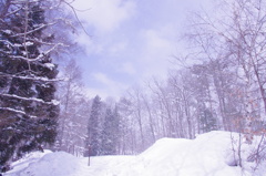 雪煙