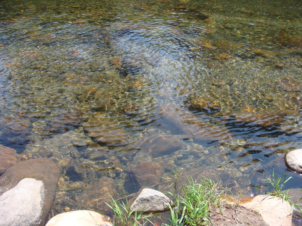 水面
