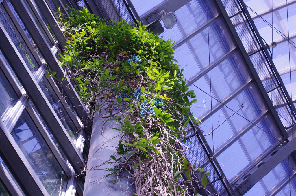 翡翠のように鮮やかに