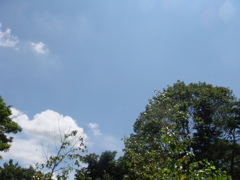 夏空