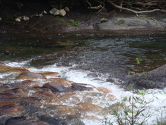 川の流れ