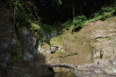 IMGP0888