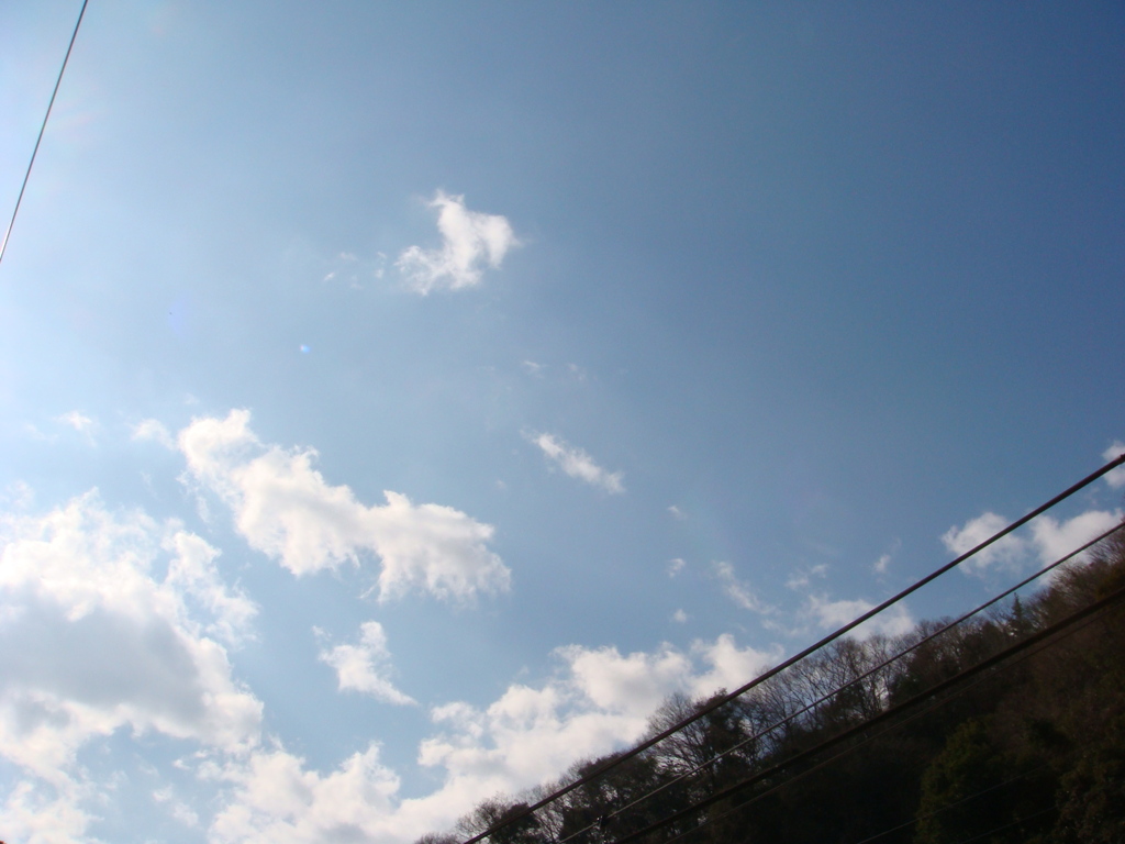 春の空