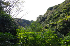 黄昏