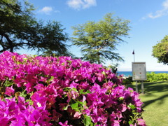 DSC03700