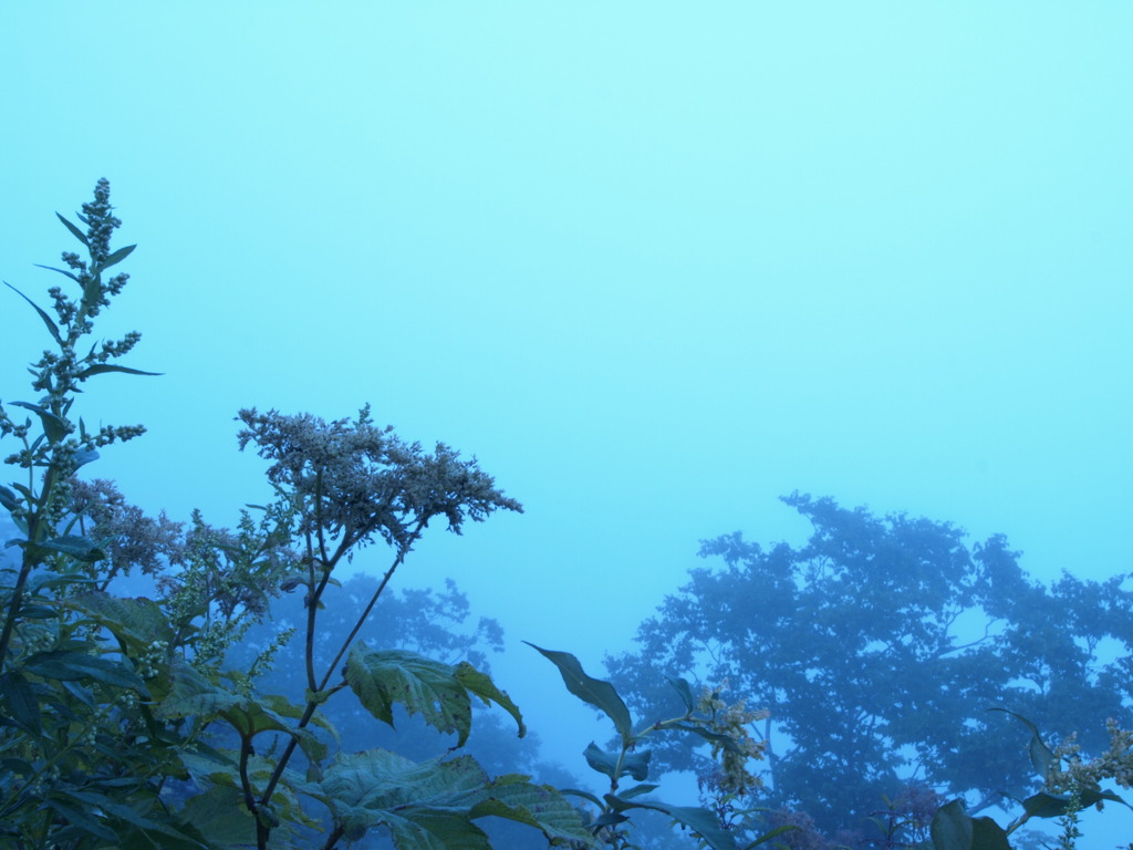 P8212832