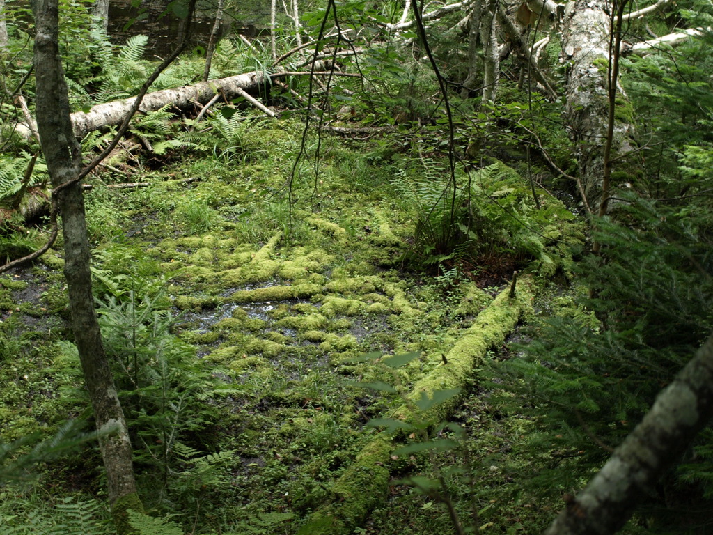 P8223003