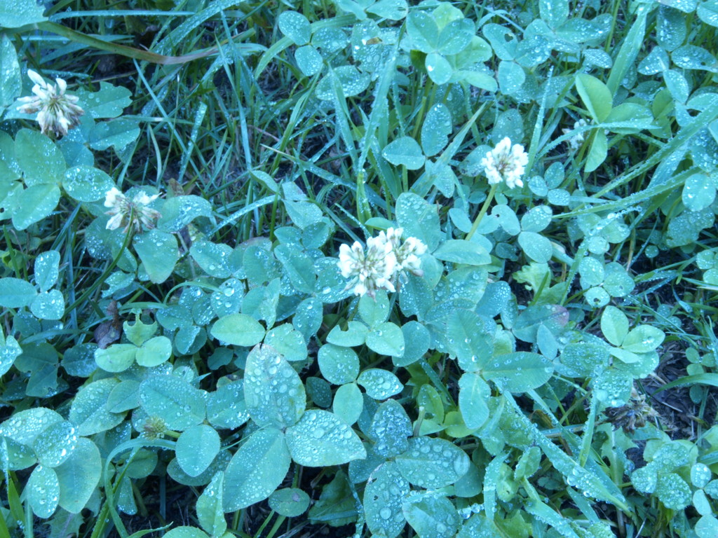 P8212833