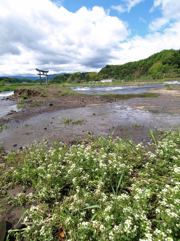 沢尻の滝④