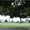 横浜山下公園風景