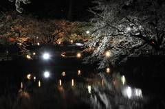 桜鏡