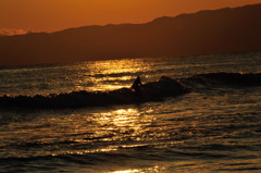 surfer