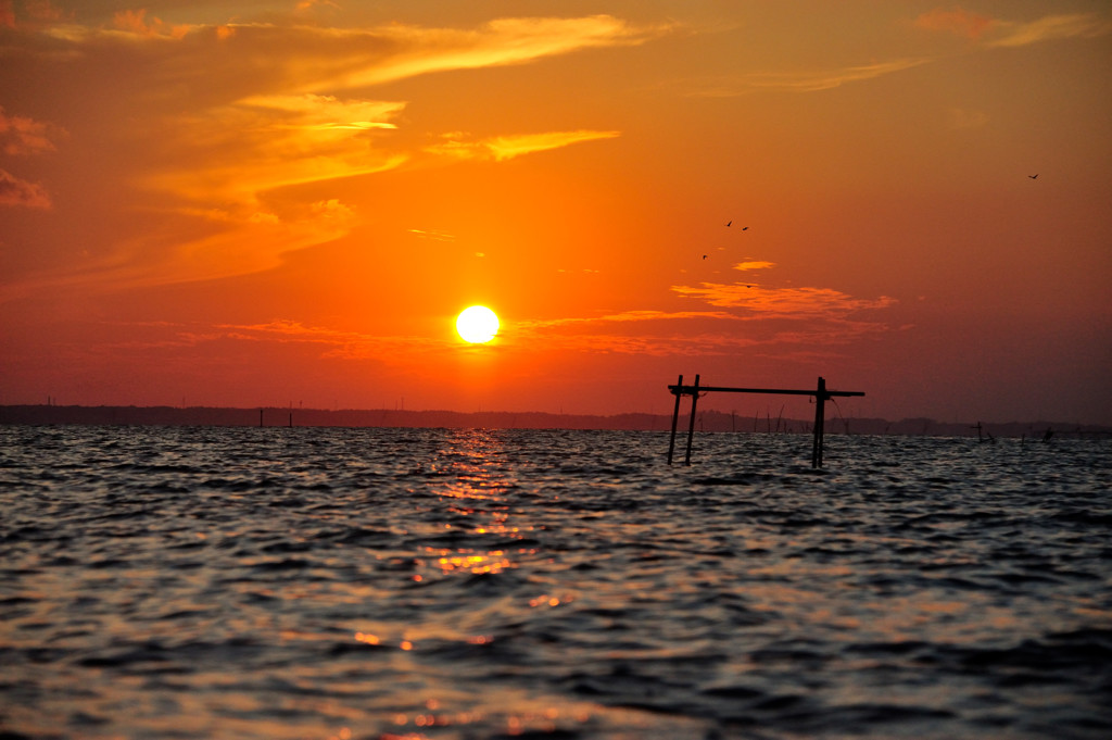 霞ヶ浦 the sun set