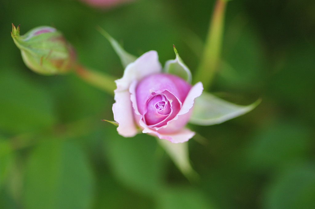 もう少し待っててね