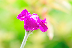 ・・・・・