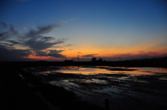 蓮田の夕暮れ