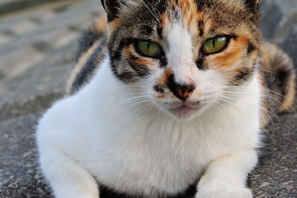 なに見てんだよ