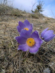 CIMG0410