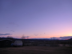 CIMG0454