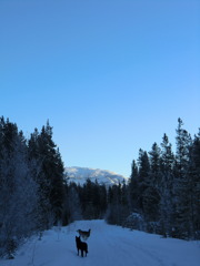 CIMG0242