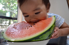夏の思い出