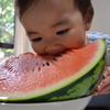 夏の思い出