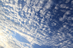秋空