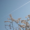 ひこうき雲
