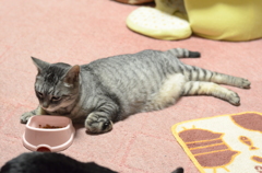 秘技・ずぼら食べ