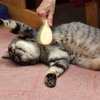 あ、うん、そこそこ♪