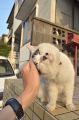 ごあいさつ