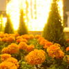 Flower　Garden