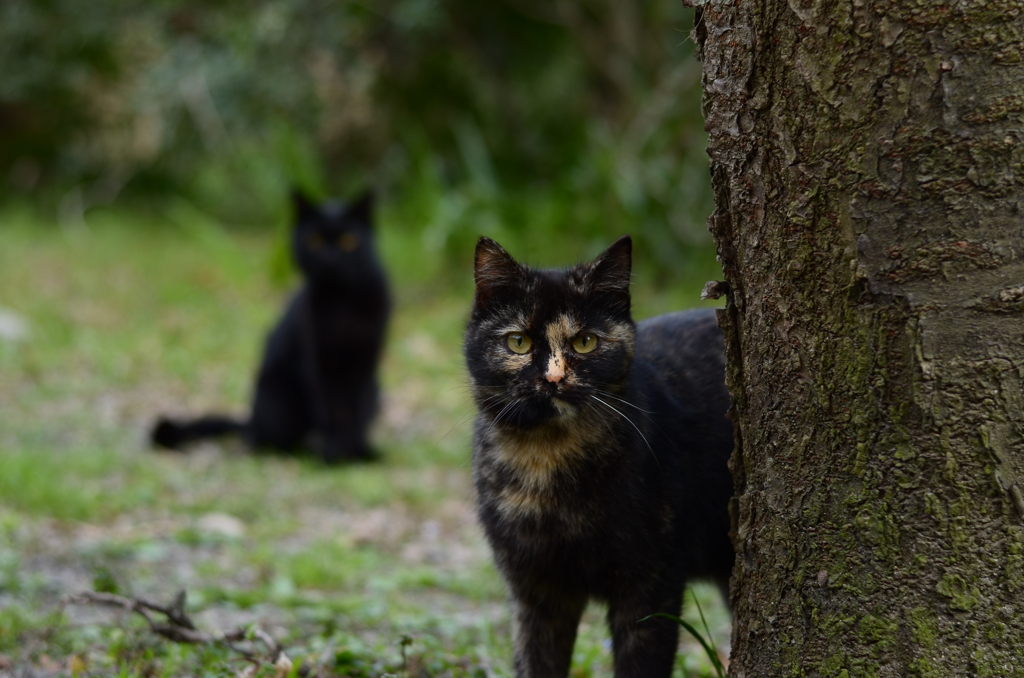 友達もいるよ♪