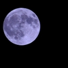 The　Moon