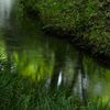 水面に映える