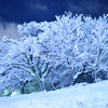 雪月華
