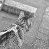 いざ、出陣