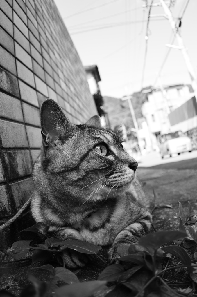 片隅で